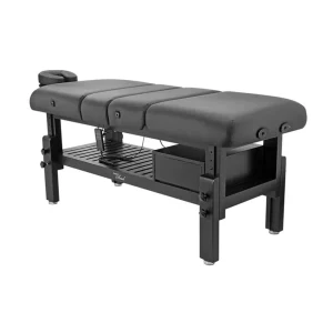 Denali Elite tattoo client bed - black 02